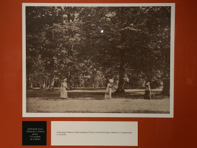 Графиня с «Кодаком»