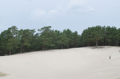 Балтийские дюны