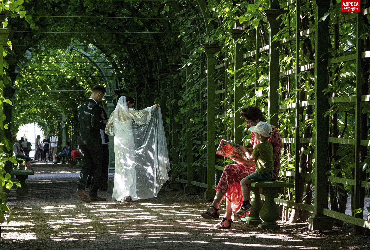 Летний. Времена года