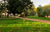 Сад Валентина Пикуля
