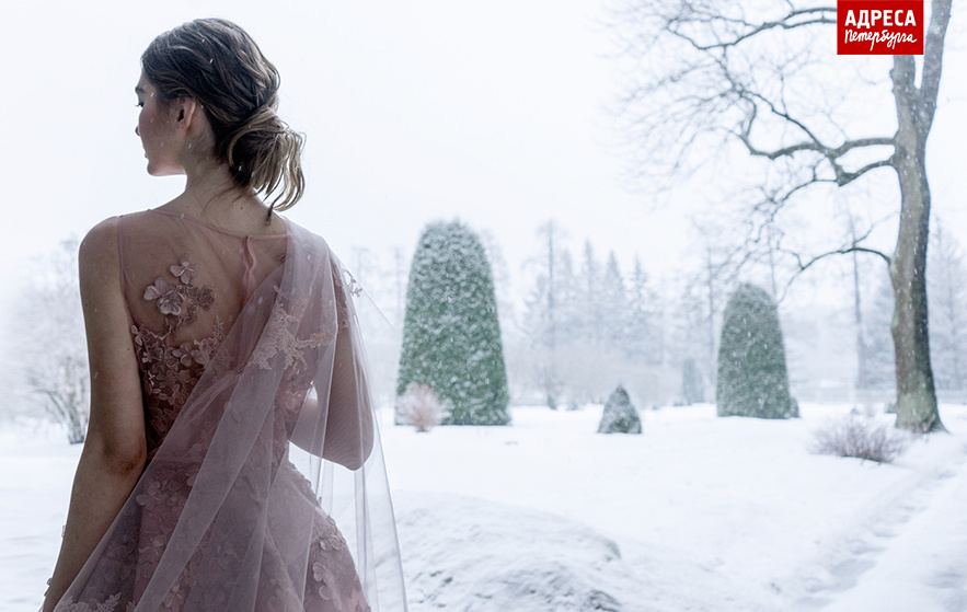 что на картинке