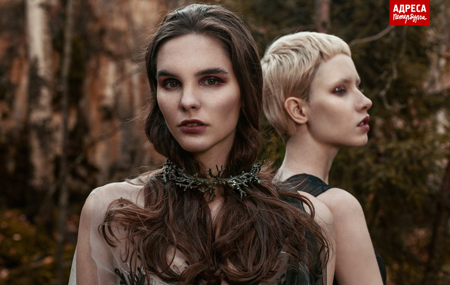 что на картинке