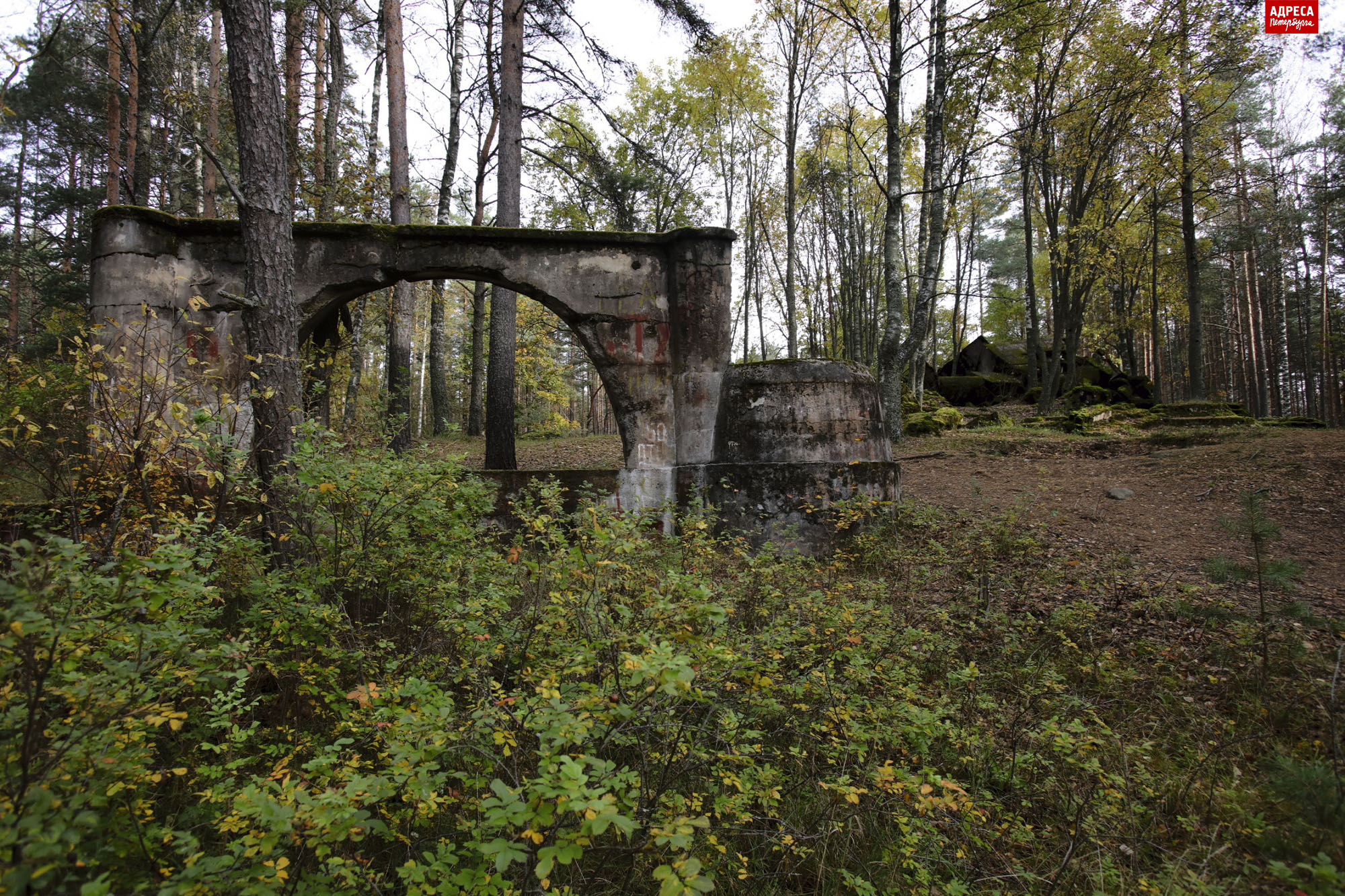 14_2O3A0482.jpg 14_2O3A0482.jpg