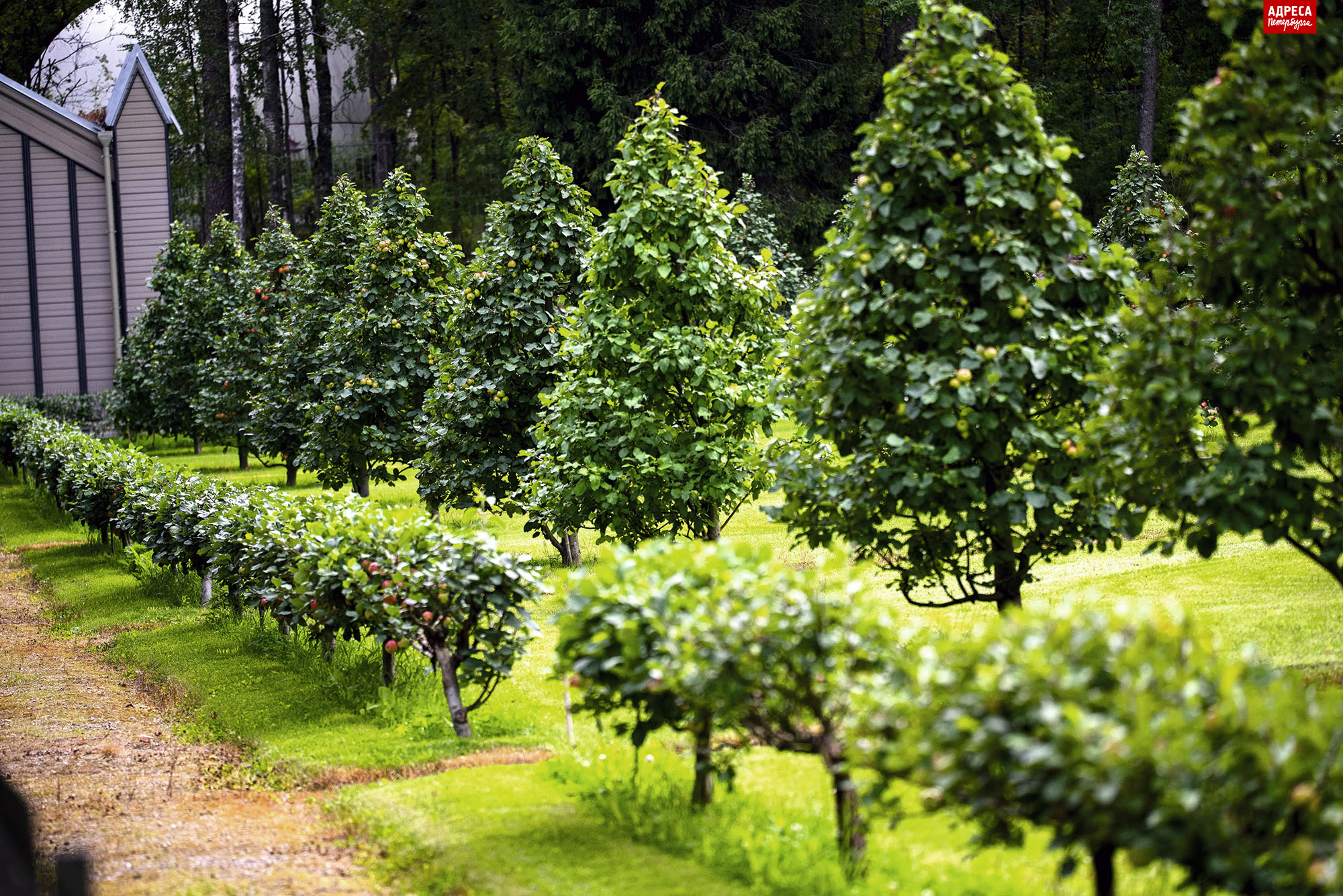 16_LKR_2714.jpg 16_LKR_2714.jpg